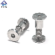 Stainless Steel Wood Furniture Book Leather Rivet Torx Pin Chicago Male Female Screw