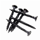  China Quality Factory Made C1022A Drywall Screws of Heat Treated High Strength Quality Products