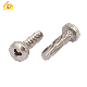  China Manufacture Y Type Drive Security Machine Screw