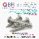 Qbh ISO1481 Slotted Pan Round Head Tapping Wood Screws