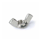  Wing Flange Square T Eye Nut with Anchor Bolt and Washer