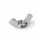 Wing Flange Square T Eye Nut with Anchor Bolt and Washer