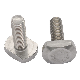 Distributor in China White Zinc Square Six Head Bolt