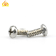 High Quality Stainless Steel Phillips Pan Head Machine Screws