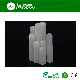 Slotted Cut Point Set Screw Wtih White Plastic Nylon