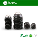  M2 M4 M8 Grade12.9 Carbon Steel Black Ball Point Set Screw