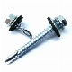 Harden White Zinc Self-Drilling Screw