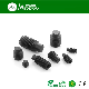 Grade12.9 DIN915 Black Oxide Hex Socket Dog Point Set Screw