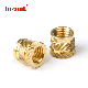 Brass Threaded Bushings for 3D Printing SL-B-M2.5/Shz-M2.5-5.74, Knurled Brass Insert Nut Threaded Insert Nut Brass Nut