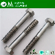  Stainless Steel ASTM A193 B8 Hex Bolt