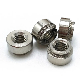  Stainless Steel Self Clinching Nut Cls-M3-0 Clss-M3-1 Clss-M3-2 Self Clinch Nut