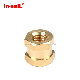 in-Molding Brass Product Insert Nuts