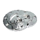 Stainless Steel SS304 316L Forged Plate Flat Welding Pl Flange