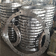 DIN2573 DIN2576 Flange Stainless Steel Forged Flanges DN1200