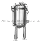 Stainless Steel Sanitary Grade Vacuum Dairy Vertical Jacketed Insulated Agitator