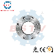 ANSI ASME Stainless Steel Carbon Steel Pipe Fitting Forged Plat Flanges