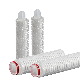  0.22 Um Hydrophobic PTFE Pleated Filter Cartridge for Sterile Gas&Vent Filtration