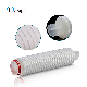  Sterilizing Pes Membrane 0.22um Pleated Filter Cartridge for Pharmaceutical Liquids Filtration