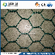  Gezhige 80X100 mm Hexagonal Wire Mesh Gabion Netting 2.0-4.0mm Wire Thickness PVC Coated Steel Wire Mesh Hexagonal Gabion China Retaining Galvanized Gabion