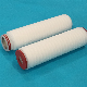 Pes Pleated Micro Filter Cartridge for Water Treatment and Reverse Osmosis Filter