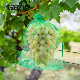  50*50 50 Mesh Green Nylon Anti Insect Netting Net for Garden