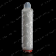 Agressive Fluids and Gases Filter Hydrophobic PTFE Membrane Micro Pleated Filter Cartridge