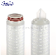 High Flow Hydrophillic Pleated Water Filter Cartridge with Nylon6 N66 Membrane 10" 20" 0.1/0.2/0.45 Micron for Pharmaceutics Food and Beverage Semiconductor