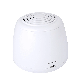  Mini Ozone Air Purifier and Mini Ionizer Factory