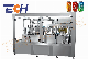 Automatic Aluminum Can Drink Beverage Bottling Plant Equipment Filling Machine manufacturer