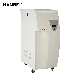 Deionized Unit Eliminating Endotoxin Automatic Ultra Pure Water Purifier Machine