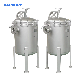 Sanitary Water Treatment Milk Beverage Liquid Filtration Single Multiple Stainless Steel Bag Filter Housing