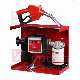  Fixed Pump Fuel Transfer Dispenser Set with Filter Meter 50L/Min Electric Diesel Oil Transfer Pump Kits