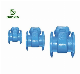  Expansion Joint Flanged Ductile Iron Pre-Table Filter Strainer Valve
