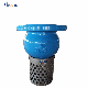  Flanged Foot Valve with 304 Filter Screen