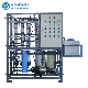 Ultrafiltration Machine 10t Drinking Pure Water Treatment Plant UF Filter