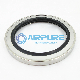 9210601p Replace Stainless Steel and Rubber Lip Seal Kit (2901181900) (1622462800)