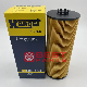 Auto Truck Engine Oil Filters E500HD129 for Hengst Hu12140/X