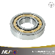 NJ2219EM  95mm *170 mm* 42 mm Cylindrical Roller Bearing for Sports Apparatus