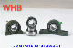  UC Bearing / Insert Ball Bearing / Stainless UC Bearings / Good Quality / Fast Delivery