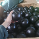 UV Resistant Hard Plastic Shade Ball Plastic Hollow Ball for Water Treatment