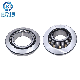 Brass Cage Thrust Spherical Roller Bearing