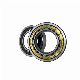  Nj/Nu 203 Cylindrical Roller Bearing for Machinery