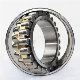  Double Row Cylindrical Roller Bearing/Nn3026K/P492/Made in China/Rolling Bearing