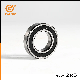 6004 Z, Zz, 2RS, 2rz, OEM Chinese Factory, Motorcycle Deep Groove Ball Bearing