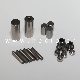Needle Roller and Roller Pin Needles Kits of Bearing Rollers