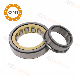 Bearing Rodamientos China Bearing Factory Supply Nu214 Full Complement Single Row Cylindrical Roller Bearing Manufacturers