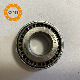  Bearing Rodamientos Machinery Parts Bearing Chrome Steel/Carbon Steel 30204 30205 30206 30207 Tapered Roller Bearing