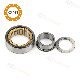  Bearing Rolamentos Tapered Roller Bearing High Quality Nj303 Single Row Cylindrical Roller Bearing with Factory Price