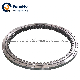 Inner Gear Slewing Bearing in High Quality & Favorable Price