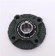 Pillow Block Bearing NSK NTN Fyh SKF INA Ucfc204 Ucfc205 Ucfc206 Ucfc207 Ucfc208 Ucfc209 Ucfc210 Ucfc211 Ucfc212 Mounted Bearings Insert Bearing